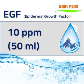 이지에프 앰플 EGF 상피세포 세포성장 증식재생 피부탄력저하 주름개선 보습 콜라겐합성촉진 10ppm/50ml Easy F EGF Ampoule EGF Epidermal Cell Growth Proliferation Regeneration Skin Elasticity Improvement Anti-Wrinkle Moisturizing Collagen Synthesis Promotion 10ppm/50ml