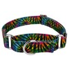 Country Brook Petz - Tie Dye Stripes Reflective Martingale Dog