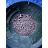 Gold Nugget Paydirt GOLD GUARANTEED Best Deal On The Market