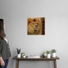 CANVAS ON DEMAND Elegant Safari IV Wall Decal, Lion Artwork