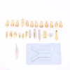 27pcs 30W Wood Burning Pen Set Pyrography Tools Tips with