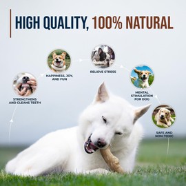 GOWGOW Coffee Wood Dog Chew Large Under 77lbs - 100% Natural Chews for Dogs Teething, Stress Relief, Dental Health, Organic Dog Toys, Reduces Stress & Anxiety