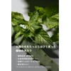 Mama Baby Body Soap (Baby Soap), Natural Moisturizing Plant Derived