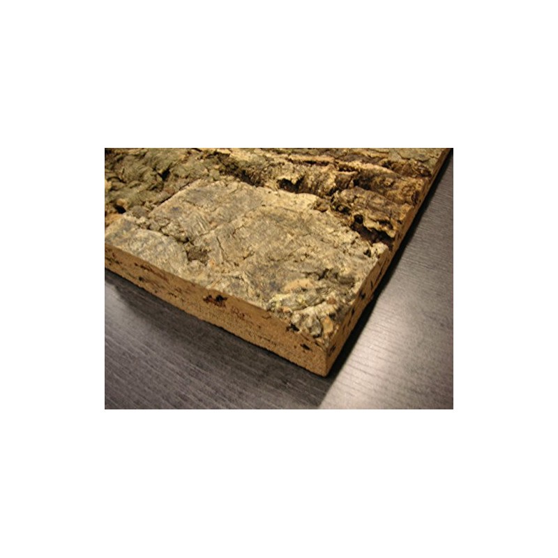 Cork Back Wall, Natural, 90 x 60 cm, Terrarium, Cork