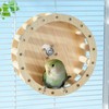 Birds Running Wheel Exercise Toys - Parrot Exercise Wheel Interactive