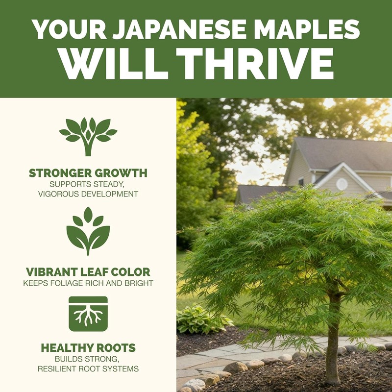 Japanese Maple Fertilizer – Liquid Plant Food for Vibrant Color,