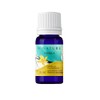 Aceite esencial de Vainilla Bnature 10 ml aromaterapia