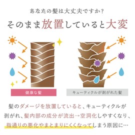 Plus eau Melty Shampoo & Melty Treatment, Refill Set, White Floral & Pear Scent, Silk Serum Formulation