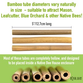 Rivajam 125 Bamboo Sticks for Crafts Supplies | Bamboo Craft Sticks & Mason Bee Tubes for Mason Bee House | Bamboo Reed Mason Bee Straws for Solitary Bee Box, Bee Hotel & Pollinator Gardens