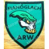 Ireland Irish Army Ranger Wing ARW Fianoglach Patch (Iron-on)