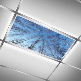 2 Pcs Fluorescent Light Covers for Ceiling Lights,Winter Woods Magnetic Light Covers with 10 Magnets Fluorescent Light Filters for School Classroom Home Office Drop Ceiling Lamp Decor 4 x 2 Feet