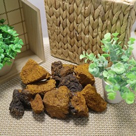참두리 차가버섯 300g (러시아산) Chaga Mushroom (300g) from Russia