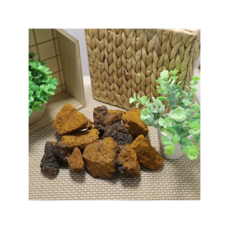 참두리 차가버섯 300g (러시아산) Chaga Mushroom (300g) from Russia