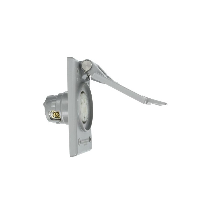 Leviton 15 Amp, 125 Volt, Power Outlet Receptacle, Straight Blade,