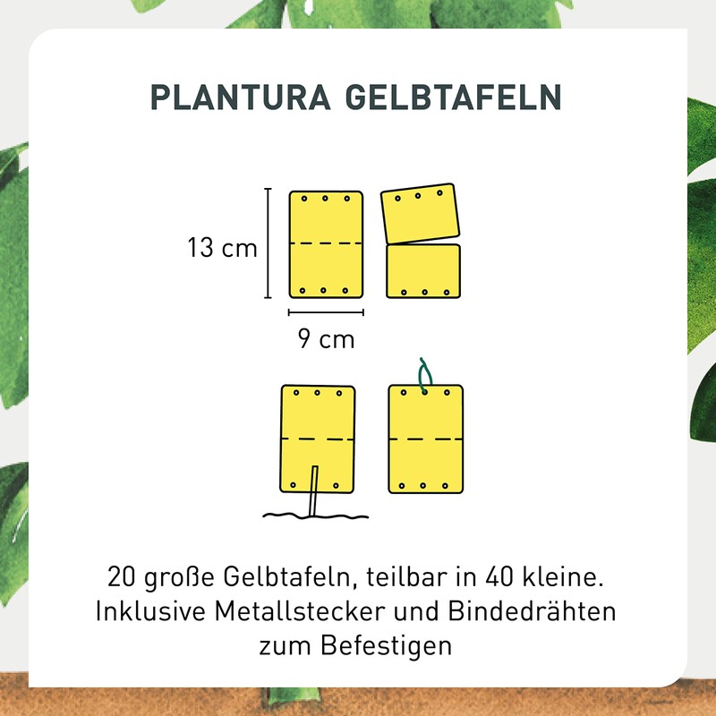 Plantura Pack of 40 Yellow Plates - Fungus Gnats &