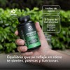 Suplementos Domos - 80 Billones Probióticos - Inulina De Agave