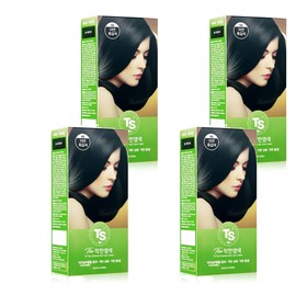 TS Good dyeing, No. 5 natural dark brown, 4 pcs / TS 착한염색, 5호 자연흑갈색, 4개