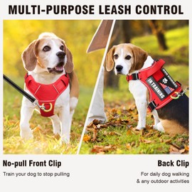 WINSEE Service Dog in Training Harness with 5 PCS Patches, Reflective Tactical Dog Vest Harness, Adjustable Soft Oxford Pet Harness with Easy Control Handle, Hook & Loop Panels for Walking Hiking