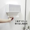 SANEI W45-CW Paper Towel Container, Wall Mounted, Holds Approx. 400