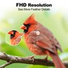 Bird Feeder with Camera,AI Identify Birds Species,Smart Birds Camera with