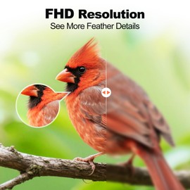 Bird Feeder with Camera,AI Identify Birds Species,Smart Birds Camera with Solar Powered,Auto Record FHD Feather Visitor Video in Backyard,Patio,Instant Notifications,Ideal Gifts for Bird Lovers