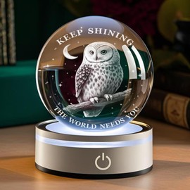 Owl Light,Figurines in Crystal Lamp 3.15In(80mm) 4 Colors Changing with Plastic LED Base ,Thank You Gift for Doctor,Friendship Gifts,Graduation Gift for Friends,Couple Gifts for Him Birthday Owl Gifts