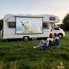 Canvas Projector 100 Inch | 16:9 HD Foldable Projector Screen