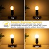 Sphoon Dimmable LED 4W Globe Light Bulb,40W Equivalent E26 Standard