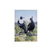 Maxwell & Williams Birds of Australia KC 10yr Anniversary Tea