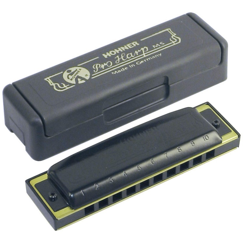 HOHNER PRO HARP/D プロハープ 10ホールハーモニカ