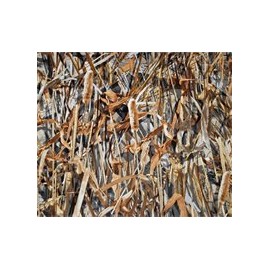 Durafit Seat Covers, Made to fit, 2004-2008 F150 XLT, Super or Regular Cab, NOT for Crew/Double CAB, Front 40/20/40 Split Seat, Car Truck Seat Covers, in Savannah Camo, Endura Fabric