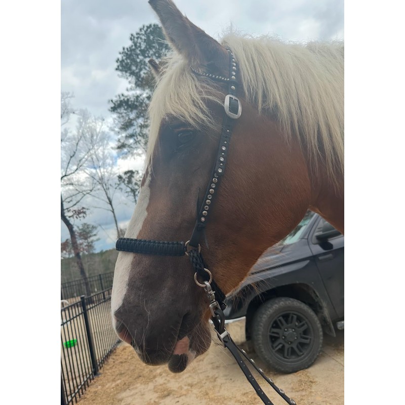 black side pull hackamore with a whoa bitless bridle attachment