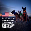 Blazin Light Up Dog Collar - The Original LED Dog