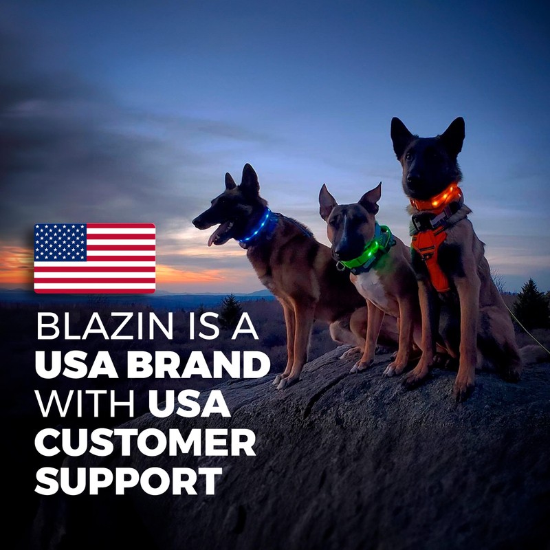 Blazin Light Up Dog Collar - The Original LED Dog
