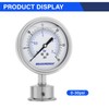MEASUREMAN 0-30 PSI Sanitary Pressure Gauge - Liquid Filled Stainless