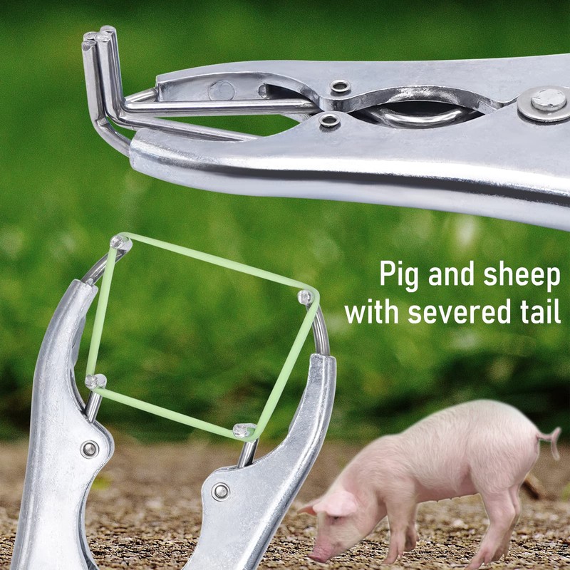 Stainless Steel Castration Tongs with 200 Rubber Rings, Flexible Castration