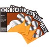 Dominant Strings 135 3/4 Violin Set