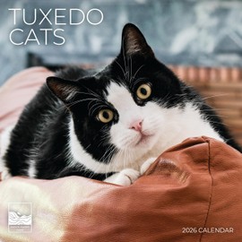 2026 Wall Calendar | 12" x 24" Open | Kitten Photography Thick & Sturdy Paper for Organizing & Planning | Office Kitchen Decor or Gift | Pacific Waters Press (Tuexdo Cat)