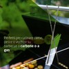Amig - 10 Spiedini Metallo per Barbecue Fireplus | Spiedini