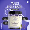 Commons Adaptógenos - Tulsi 120 Cápsulas - Suplemento Natural -