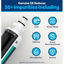 GE RPWFE Refrigerator Water Filter, Genuine Replacement Filter, Certified to Reduce Lead, Sulfur, and 50+ Other Impurities, Replace Every 6 Months for Best Results, Pack of 1