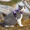 Mr. Peanut's PurrTrek Reflective Cat Harness with Matching Leash (Small,