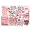 A5 Sticker Sheet Minneapolis Landmarks Vinyl Stickers - Pink Minnesota