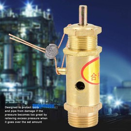 ANKROYU Air Compressor Valve, Pressure Release Valve, Air Compressor Check Valve, Compressor Pressure Relief Valve for Steam Generators Electric Boilers (10kg)