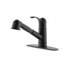 Derengge Matte Black Kitchen Faucet,Single Handle Pull Out Kitchen Faucet