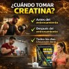 Creatina Monohidratada Suplemento Alimenticio Sin Sabor