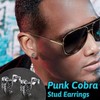 Cobra Stud Earrings for Women Silver Tiny Ear Studs Stainless