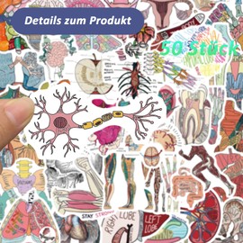 CALLYSONIC Laptop Stickers, Anatomy Stickers, Meme Stickers, Pack of 50 Cartoon Organ Anatomy Chart Stickers, Suitable for Laptops, Tea Cups, Tablets