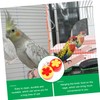 CAXUSD 4Pcs Hummingbird Feeders Plastic Outdoor Bird Feeders with Clips