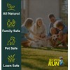 See Spot Run Lawn Protection Concentrate – 32 fl oz